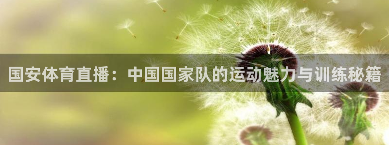 国安体育直播：中国国家队的运动魅力与训练秘籍