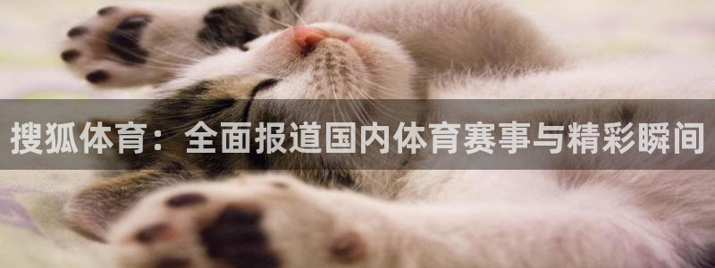搜狐体育：全面报道国内体育赛事与精彩瞬间